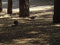 DSC07693.JPG