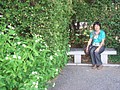 DSC07701.JPG