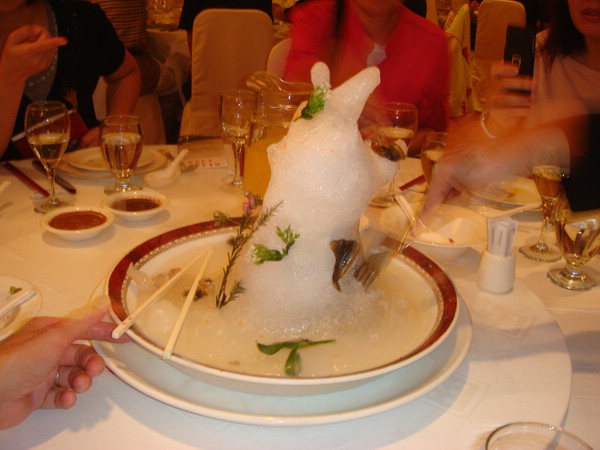 DSC07780.JPG