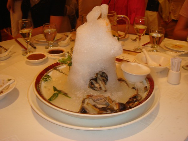DSC07781.JPG