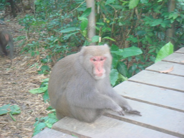 DSC07832.JPG