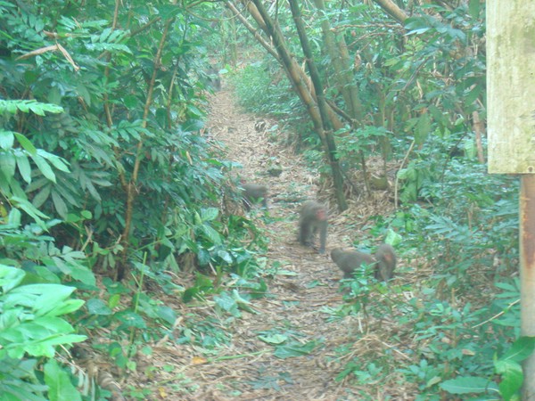 DSC07833.JPG