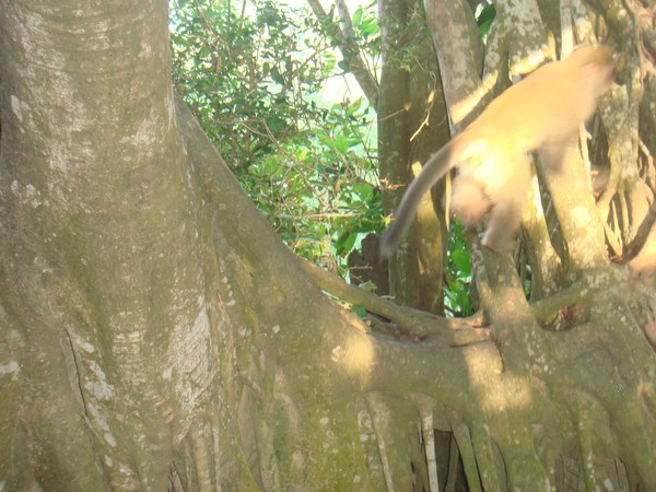 DSC07836.JPG