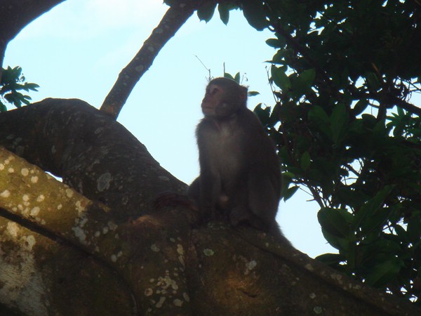 DSC07837.JPG