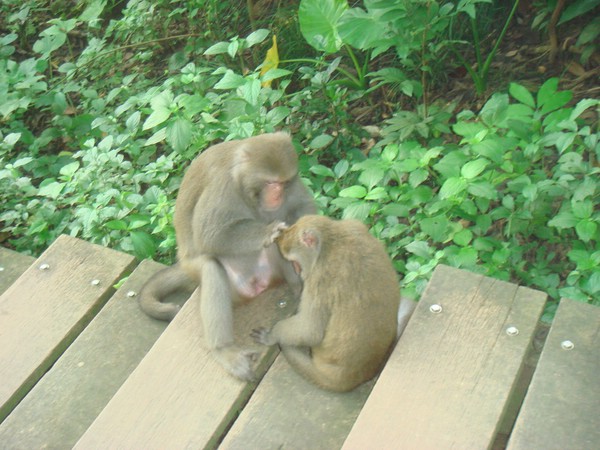 DSC07844.JPG