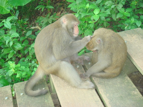 DSC07845.JPG