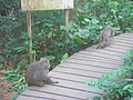 DSC07831.JPG