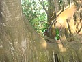 DSC07836.JPG