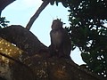 DSC07837.JPG