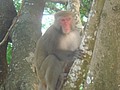 DSC07838.JPG
