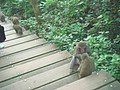 DSC07843.JPG
