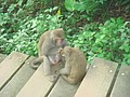 DSC07844.JPG