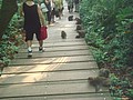 DSC07846.JPG