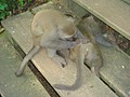DSC07849.JPG