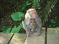DSC07852.JPG