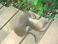DSC07853.JPG