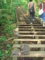 DSC07856.JPG