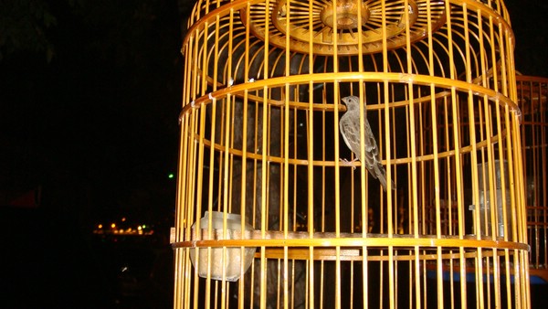 DSC01938.JPG