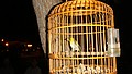 DSC01939.JPG