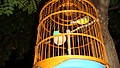 DSC01940.JPG
