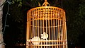 DSC01941.JPG