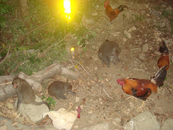 DSC07877.JPG