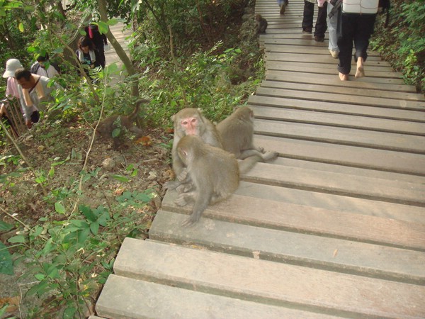 DSC07891.JPG