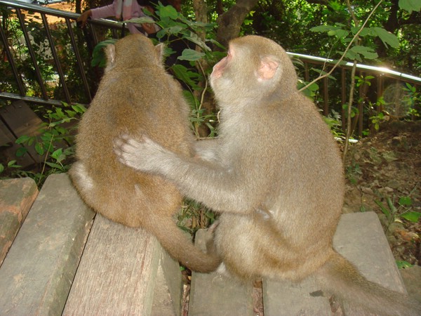 DSC07892.JPG