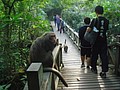 DSC07888.JPG