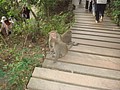 DSC07891.JPG