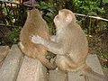 DSC07892.JPG