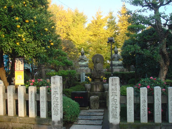 DSC07905.JPG