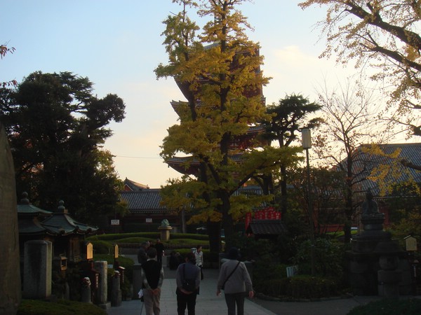 DSC07914.JPG