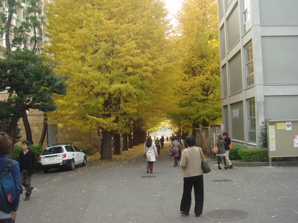 DSC07951.JPG