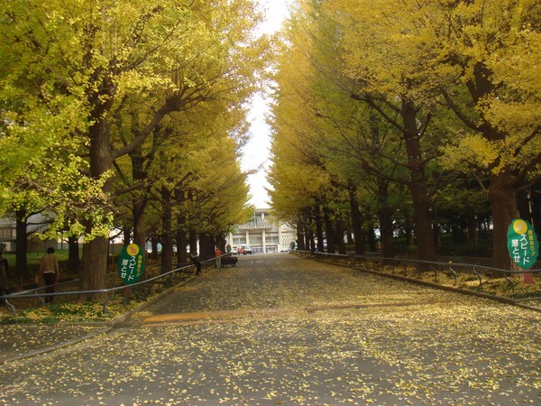 DSC07955.JPG