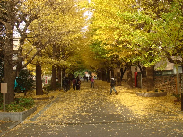DSC07957.JPG