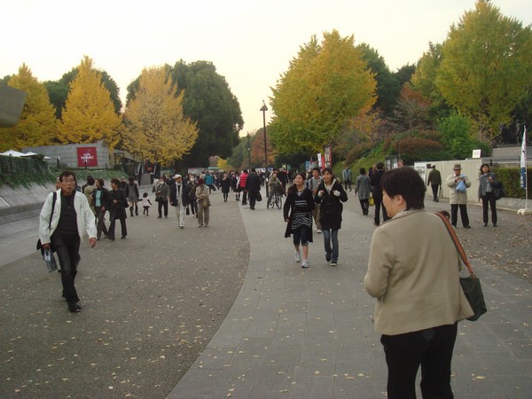 DSC07975.JPG