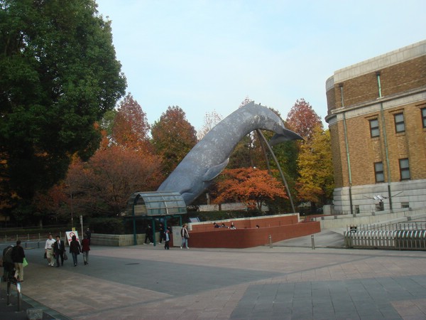 DSC07982.JPG