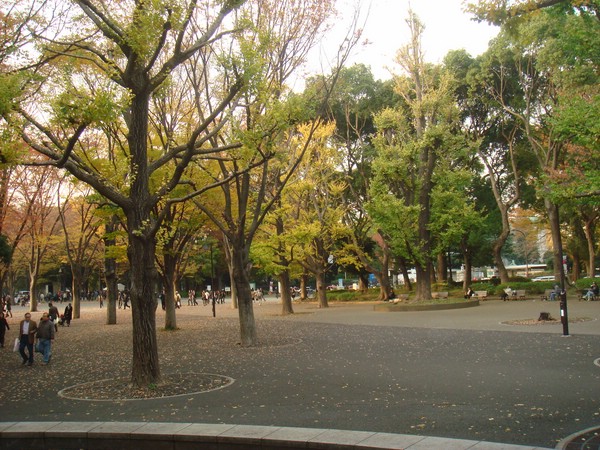 DSC07983.JPG