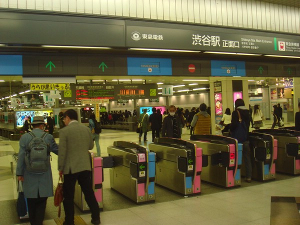 DSC08002.JPG