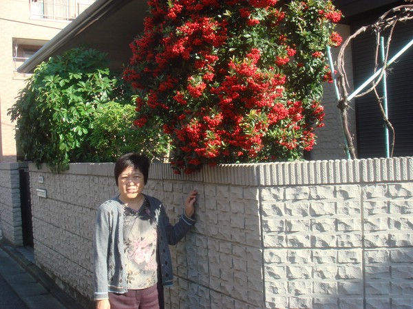 DSC08110.JPG
