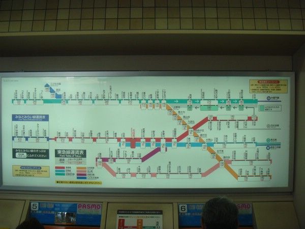 DSC08113.JPG