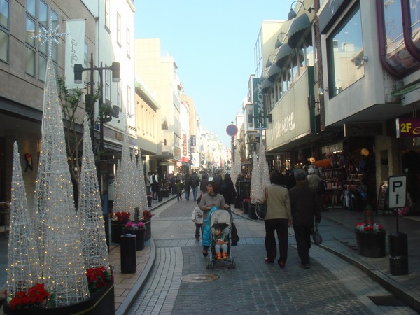 DSC08119.JPG
