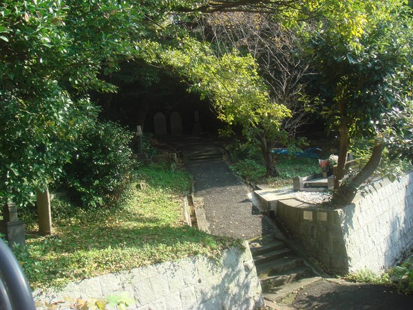 DSC08133.JPG