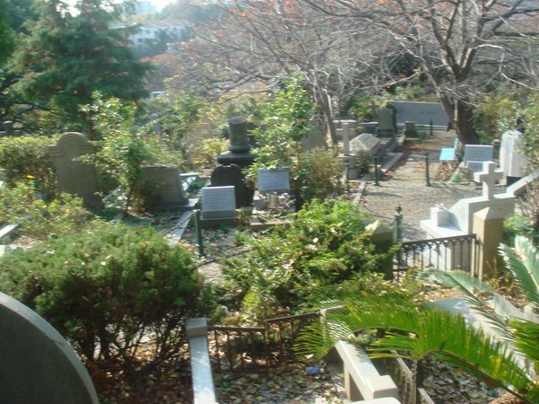 DSC08134.JPG