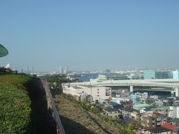 DSC08137.JPG