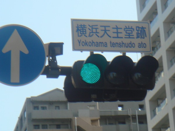 DSC08146.JPG