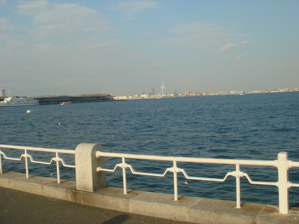 DSC08157.JPG