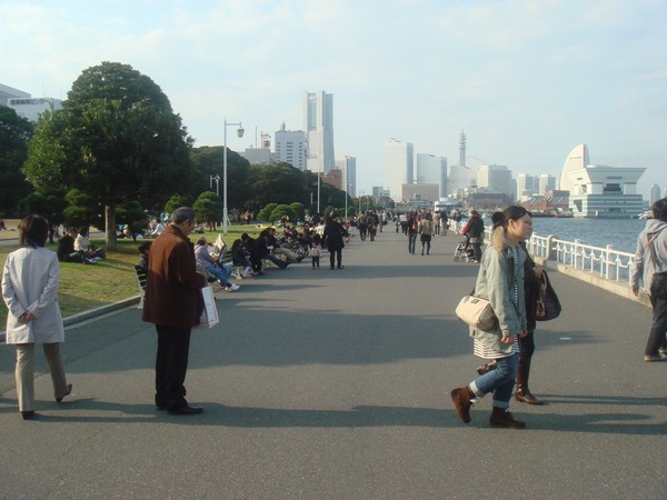 DSC08158.JPG