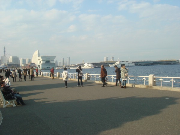 DSC08163.JPG